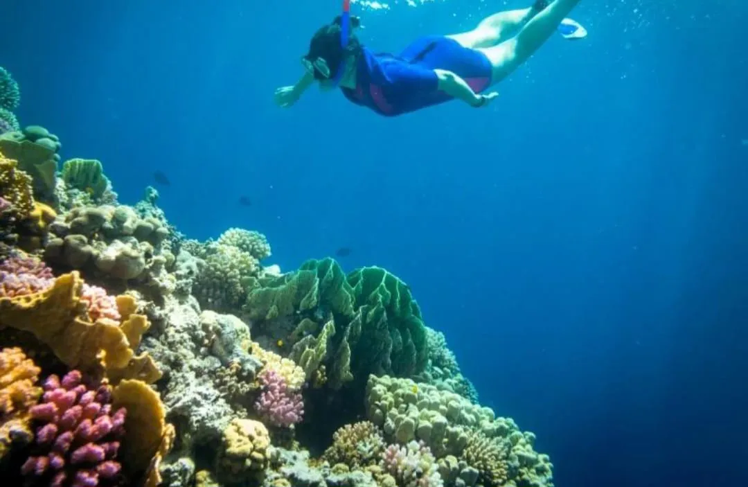 🏖️🌊 Sharm El Luli & El Qulaan Tour – Marsa Alam 🐠🌴 Sharm EL Luli /IMG-20260703-WA0018.jpg